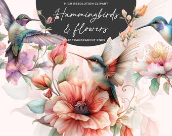Watercolor Hummingbird Clipart | Exotic Bird PNG Flowers (Digital Download)