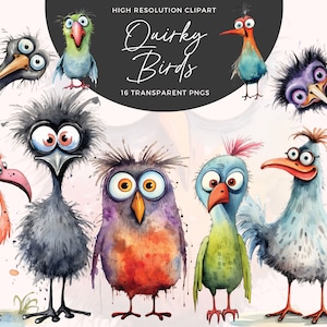 Imágenes prediseñadas de pájaros divertidos / Imágenes prediseñadas de pájaros extravagantes / Pájaro de dibujos animados / Pájaros lindos imprimibles / Uso comercial / Diarios basura / Artesanía de papel digital