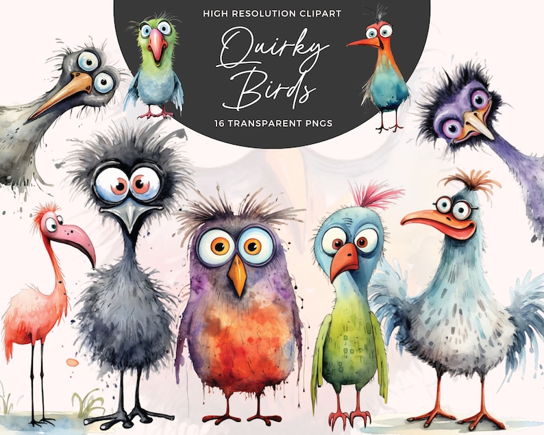 May include: A set of 16 digital illustrations of quirky birds with watercolor-like textures. The birds have large eyes and are depicted in various colors, including blue, green, red, orange, and purple. The illustrations are perfect for adding a whimsical touch to any project.