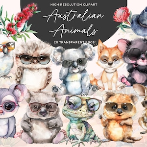 Australische Tiere Clipart | Koala Clipart | Australien Clipart | Baby Clipart | Tasmanischer Teufel | Babyparty Clipart | Kinderzimmer Dekor