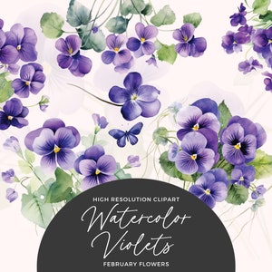 Clipart de flor do mês de nascimento de fevereiro | Clipart floral violeta aquarela | Clipart de flores violetas | Flor de fevereiro | Flor de Nascimento