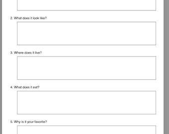 Essay Writing Templates