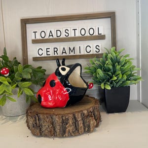 May include: A ceramic ladybug planter with a red and black design, perched on a wooden slice. The planter is part of a display that includes the text "TOADSTOOL CERAMICS" and small potted plants.