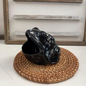 Small Galaxy Frog Scrubby Holder