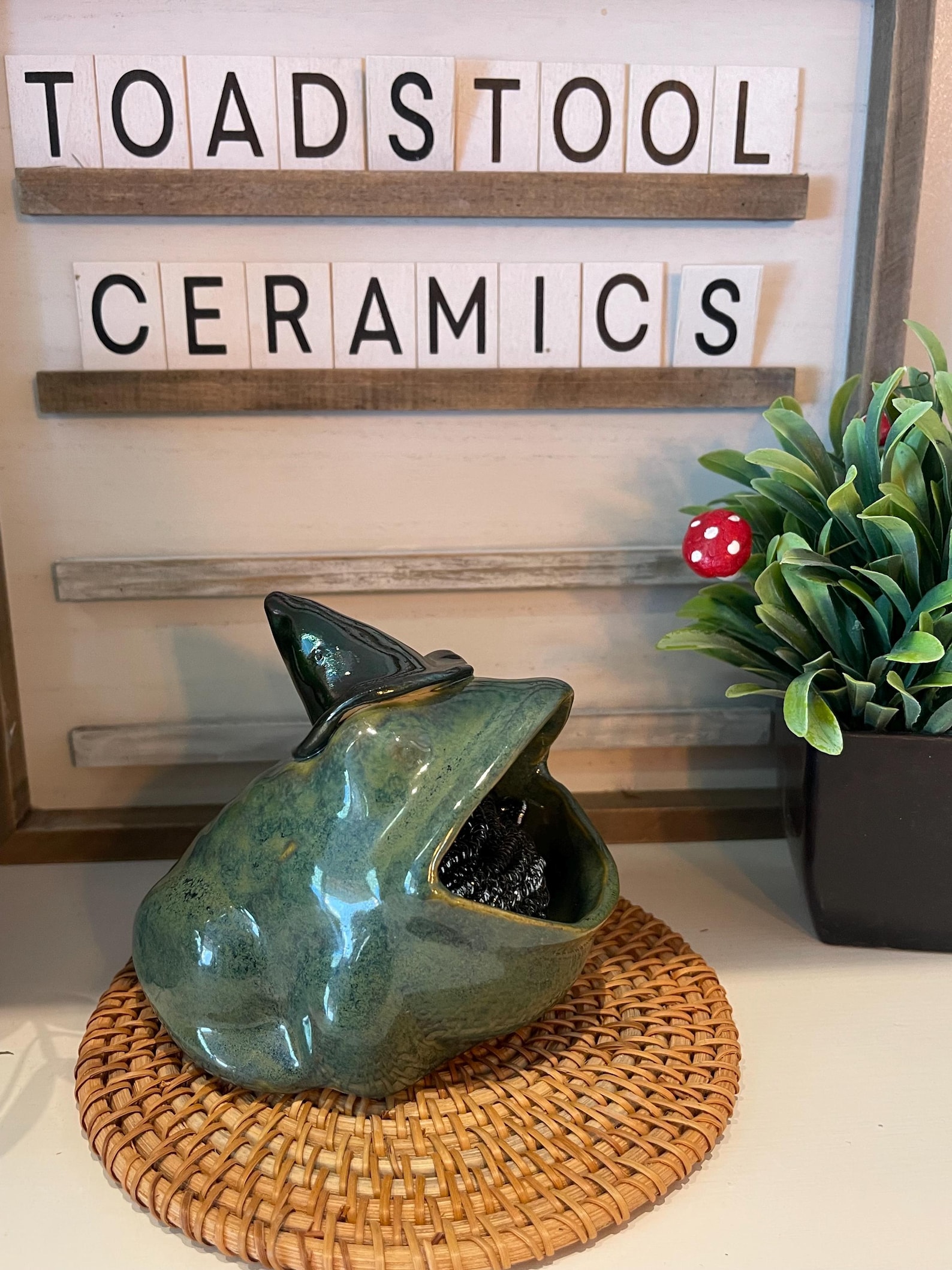 Handmade Wizard Frog Pottery Scrubby Holder