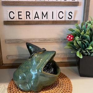 Handmade Wizard Frog Pottery Scrubby Holder