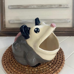 Possum Frog Scrubby Holder