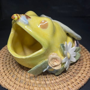Bee Frog scrubby Holder ceramic Cute