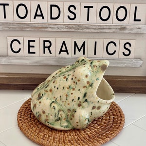 Elevate Your Kitchen Game with Our Handcrafted Herb Garden Frog Scrubby Holder - Radiating Whimsy and Functionality!Homemade Pottery!