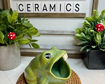 Frog Scubby Holder”buck Tooth”-whimsical Fun-handmade Pottery