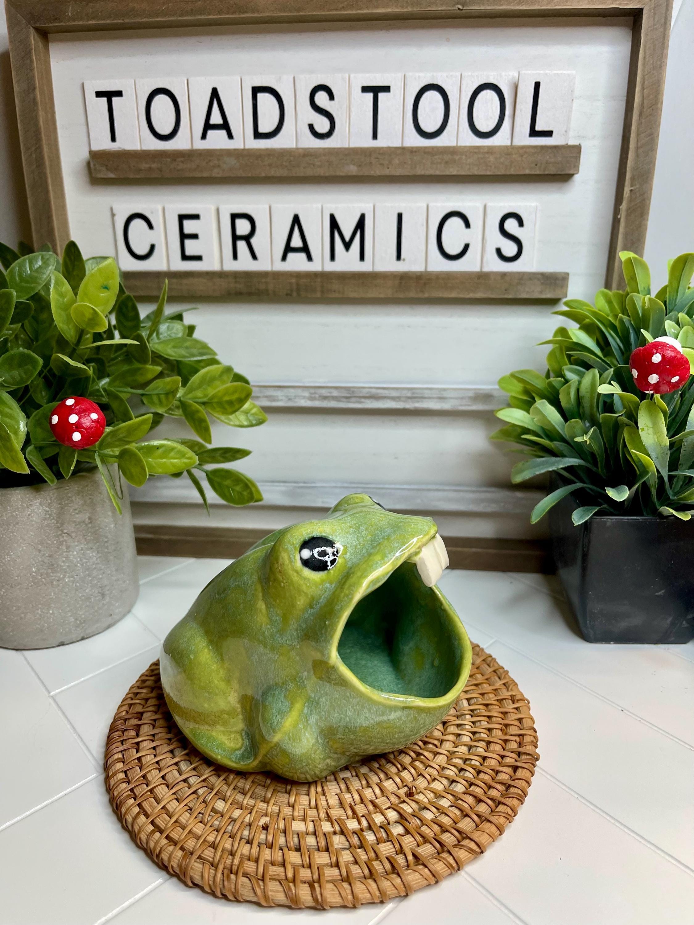 Frog Scubby Holder”buck Tooth”-whimsical Fun-handmade Pottery