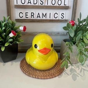 Placid Plastic Duck - Etsy