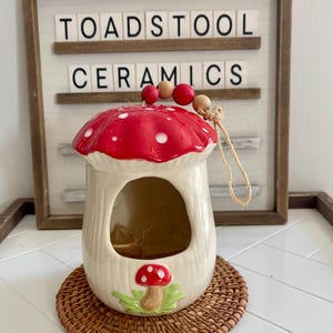 Mushroom bird feeder/scrubby holder/salt pig
