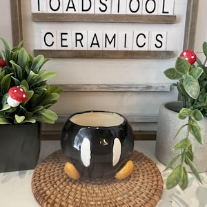 May include: A black ceramic planter with white accents and yellow feet, resembling a cartoon character, sits on a woven mat. The planter is surrounded by greenery and a sign that reads "TOADSTOOL CERAMICS."