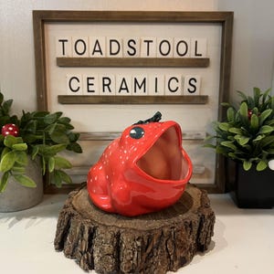 Handmade Strawberry Frog Ceramic – Cute Cottage-Core Pottery Scubby Planter
