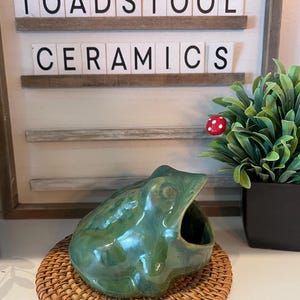 Ceramic Algae Frog Scrubby Holder Vintage  Inspired Pottery!  Just like grandma had !Homemade Cute