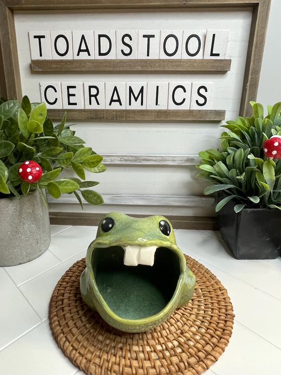 Frog Scubby Holder”buck Tooth”-whimsical Fun-handmade Pottery