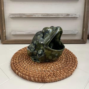 Small Olive Float Frog Scrubby Holder
