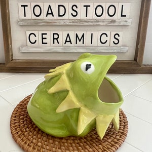 Handmade Kermie Frog Pottery Scrubby Holder