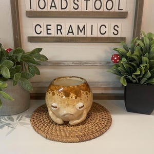 Op de afbeelding: Een keramische pot met een kikkerachtig gezicht, in tinten bruin en beige, staat op een geweven mat. De pot staat voor een bord met de tekst "TOADSTOOL CERAMICS". Groene planten in potten staan aan weerszijden van de pot.