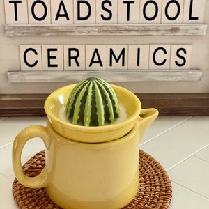 Op de afbeelding: Een gele keramische kan met een cactusvormige citruspers erop. De kan staat op een geweven bruine onderzetter. De woorden "TOADSTOOL CERAMICS" zijn zichtbaar op een bord achter de kan.