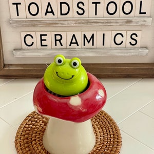 Frog Scrubby with Mushroom Holder
