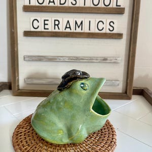 Cowboy Frog Scrubby Holder