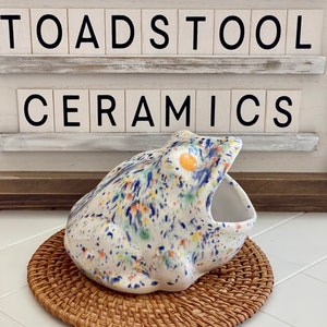 Handmade Pottery Frog Scrubby Holder: Retro Speckled Decor