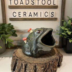 Peut inclure: Un pot en céramique en forme de grenouille avec une finition sombre et brillante et une bouche ouverte. De petits champignons rouges et blancs ornent la tête de la grenouille. Le pot est posé sur une tranche de bois, avec l'inscription "TOADSTOOL CERAMICS" en arrière-plan.