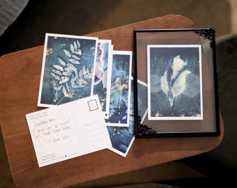 Botanical Postcard Set of 10, Original Minnesota Cyanotype Art, Frameable Nature Postcards, Botanical Stationery, Unique Art Prints