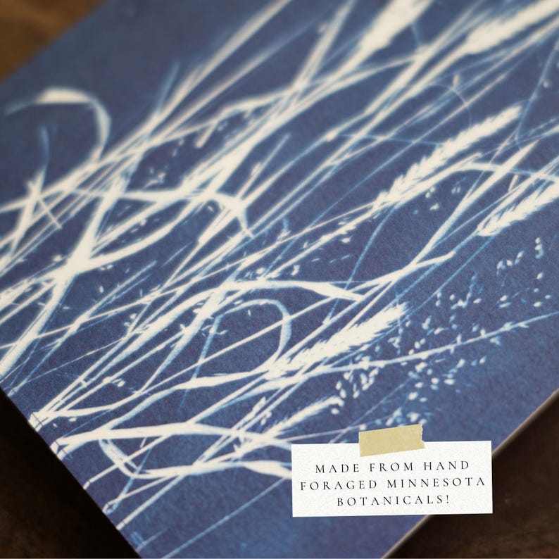 Puede incluir: Primer plano de una impresi&oacute;n bot&aacute;nica sobre un fondo azul marino. Delicadas formas de plantas blancas est&aacute;n dispuestas sobre la superficie. El texto "MADE FROM HAND FORAGED MINNESOTA BOTANICALS!" es visible.