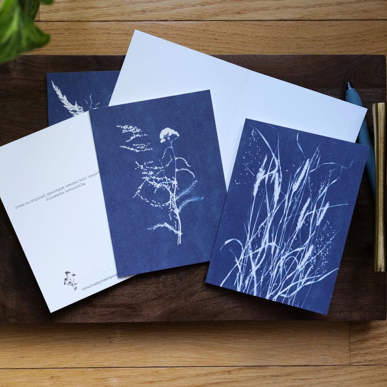 Puede incluir: Un conjunto de tarjetas de felicitaci&oacute;n con tem&aacute;tica bot&aacute;nica. Las tarjetas presentan ilustraciones blancas de plantas sobre un fondo azul oscuro. Una tarjeta est&aacute; abierta, revelando un interior en blanco. Sobre una superficie de madera, con un bol&iacute;grafo y un portabol&iacute;grafos.