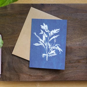 Puede incluir: Una tarjeta azul con una impresi&oacute;n bot&aacute;nica blanca de una planta con hojas y tallos. Un sobre marr&oacute;n est&aacute; detr&aacute;s de la tarjeta. La tarjeta y el sobre est&aacute;n sobre una superficie de madera oscura.