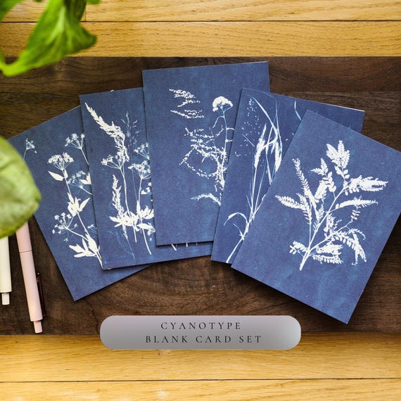Cyanotype Botanical Cards Set | Rusky Rose Art Prints, Blank Note Cards