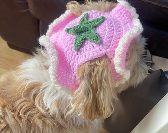 Strawberry Shortcake Crochet Dog Hat