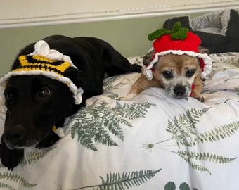 Strawberry Dog Hat