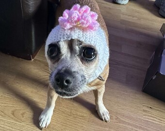 Flower Dog Balaclava