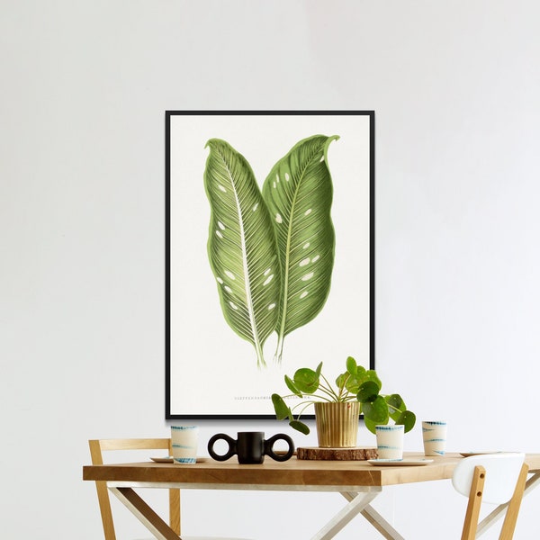 Groene Dieffenbachia Baraquiniana bladillustratie, ingelijste kunstprint, botanische wanddecoratie, groene plant muurkunstprint, bloemen, flora