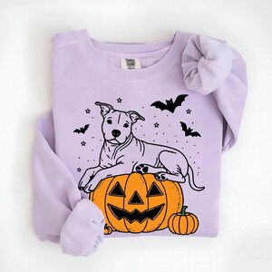 Pitbull Halloween Sweatshirt