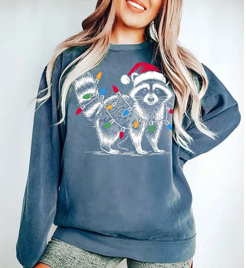 Puede incluir: Una sudadera azul con un mapache blanco que lleva un gorro de Pap&aacute; Noel y est&aacute; rodeado de luces de Navidad de colores.