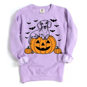 May include: A lavender sweatshirt with a black and white illustration of a dachshund sitting on a jack-o'-lantern. Bats are scattered around the image.