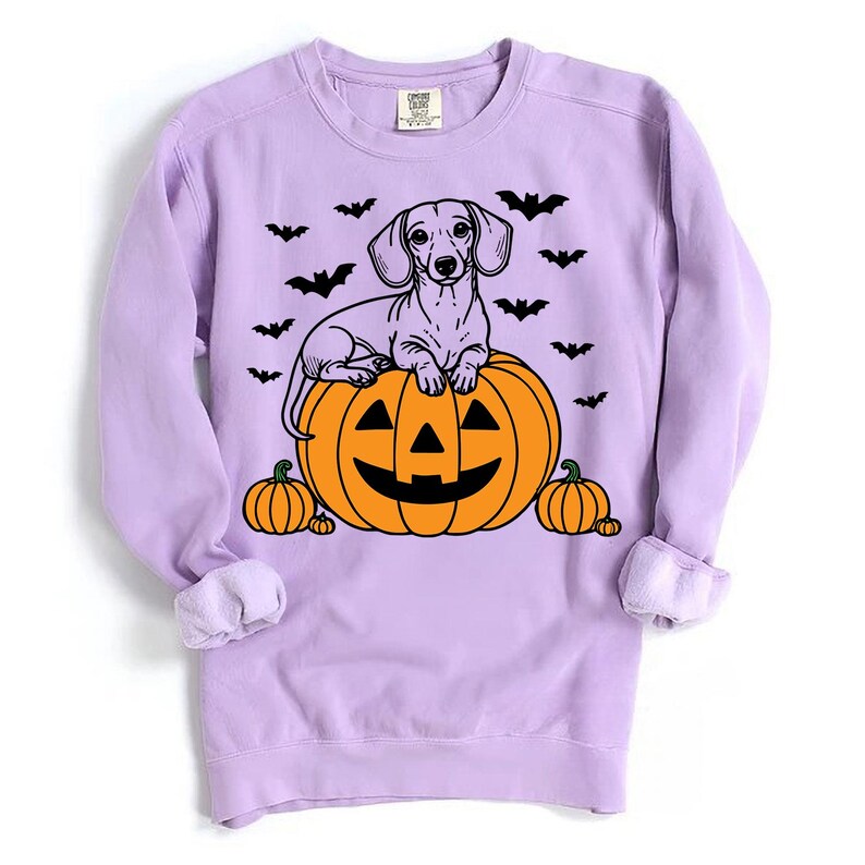 May include: A lavender sweatshirt with a black and white illustration of a dachshund sitting on a jack-o'-lantern. Bats are scattered around the image.