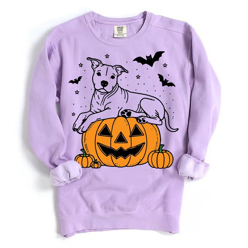 May include: A lavender sweatshirt with a white pit bull terrier sitting on a jack-o'-lantern. The dog is wearing a black collar and has a black nose. There are bats and stars printed on the sweatshirt.