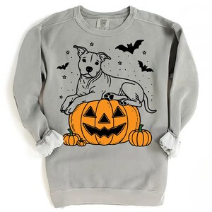 May include: A gray sweatshirt with a black and white illustration of a dog sitting on a jack-o'-lantern. The dog is wearing a collar and has a happy expression. The sweatshirt has a festive Halloween theme.