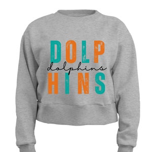 Distressed Delfine PNG Football American Dolphin Football