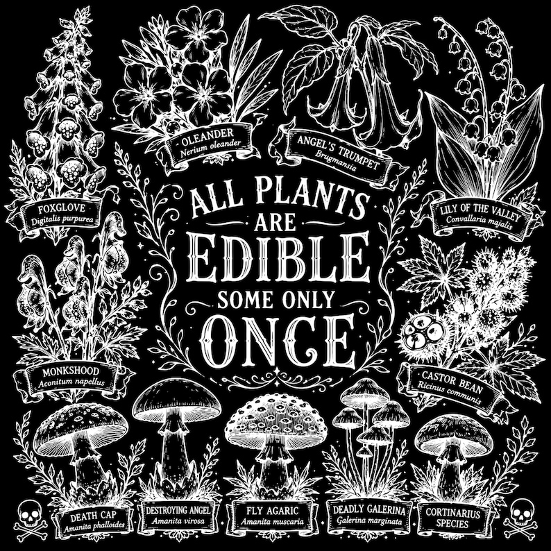 May include: A black and white botanical illustration featuring various toxic plants and mushrooms with the text ALL PLANTS ARE EDIBLE SOME ONLY ONCE. Labeled specimens include Foxglove, Oleander, Angel's Trumpet, Lily of the Valley, Monkshood, Castor Bean, Death Cap, Destroying Angel, Fly Agaric, Deadly Galerina, and Cortinarius species.