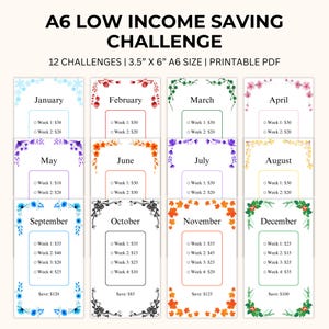 A6 Low Income Saving Challenge: 12 Month Mini Budget Binder (PDF)