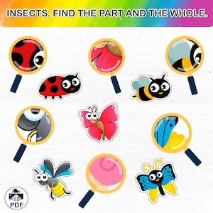 Insect Matching Game: Printable Kids Educational Sensory Activity (PDF Download)