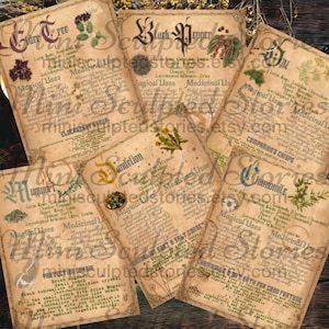 Dollhouse Miniature Witch Herb Book: 1&quot; Scale Grimoire (Digital Download)