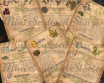 Dollhouse Miniature Witch Herb Book: 1" Scale Grimoire (Digital Download)